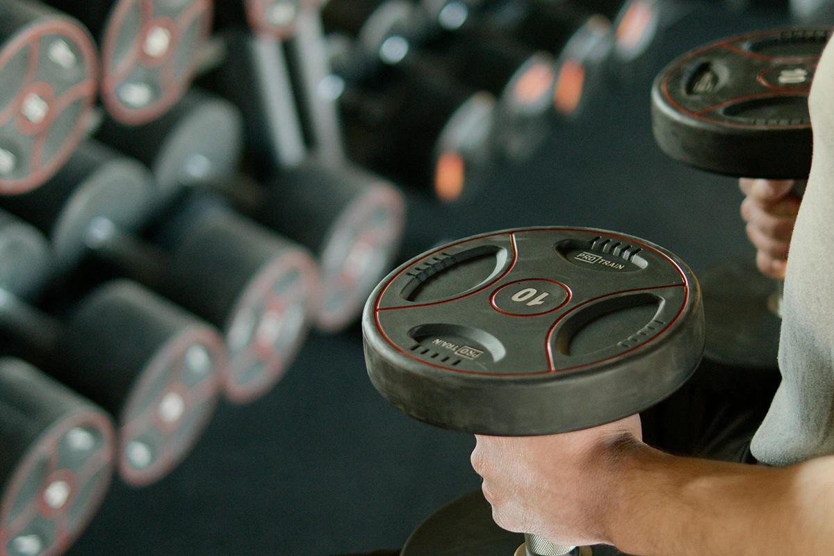 Person holding 10 pound weights infront of a weight rack.